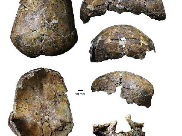 Ancient ‘Deep Skull’ from Borneo full of surprises