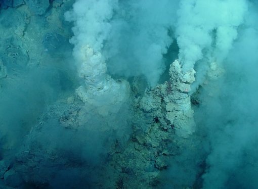 Universal ancestor of all life on Earth was only half alive