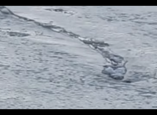 Icelandic Truth Comission Confirms The Lagarfljótsormur Sea Monster is Real