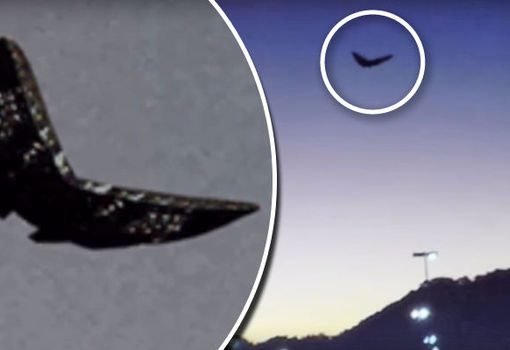 Bizarre butterfly UFO branded one of clearest ‘alien crafts’ EVER caught on camera