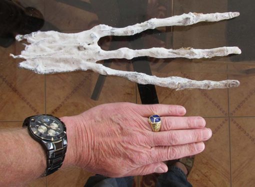 Bizarre 3-Fingered Mummified Hand Found in A Tunnel in the Peruvian Desert