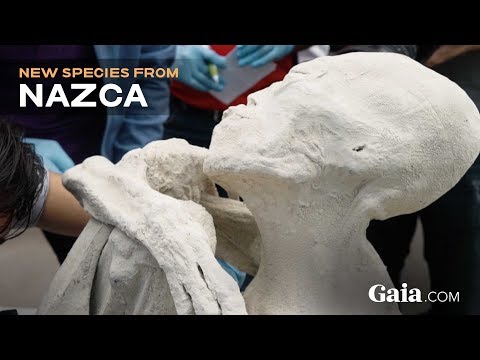 SPECIAL REPORT: UNEARTHING NAZCA