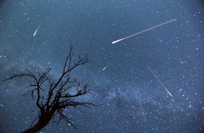 PERSEID METEOR SHOWER