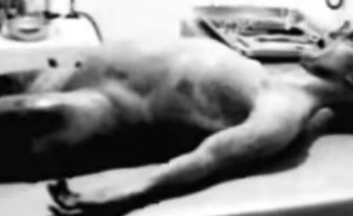 Famous alien autopsy film confession reignites debate