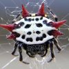 These spiders may have the world’s fastest body clocks