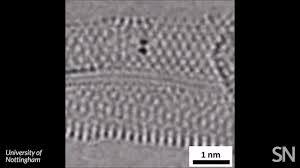 For the First Time, Scientists Capture the Chemical Bonds between Atoms Forming and Breaking