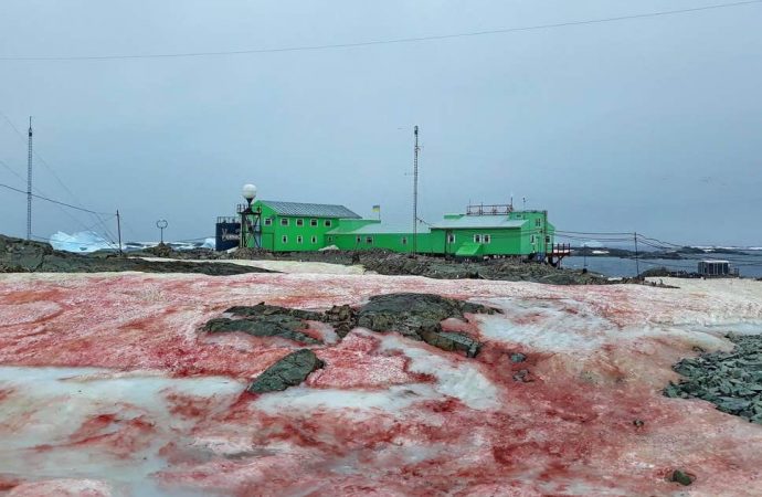 Antarctica snow turns ‘blood red’