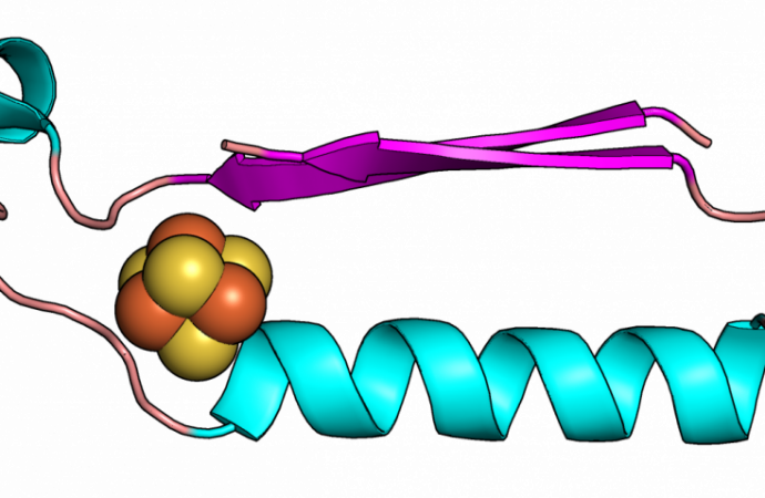 Scientists Have Discovered the Origins of the Building Blocks of Life