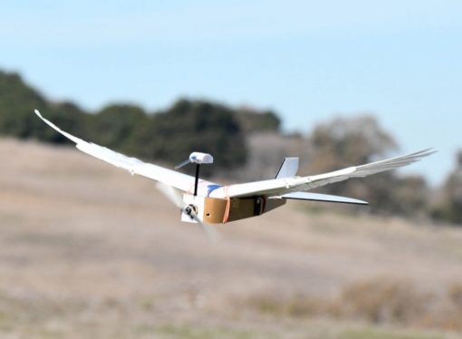 ‘PigeonBot’ is the first robot that can bend its wings like a real bird