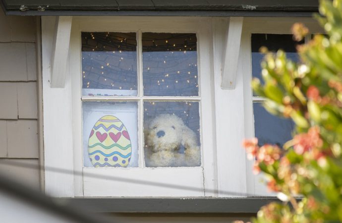 The Easter Bunny Is An Essential Worker, New Zealand’s Ardern Says