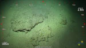 Massive coral reef ‘tower’ found off coast of Australia