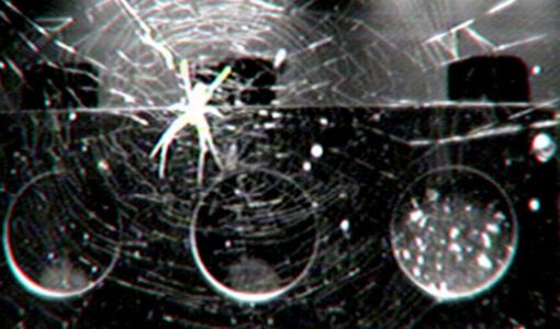 Space Station Spiders Found a Hack to Build Webs Without Gravity