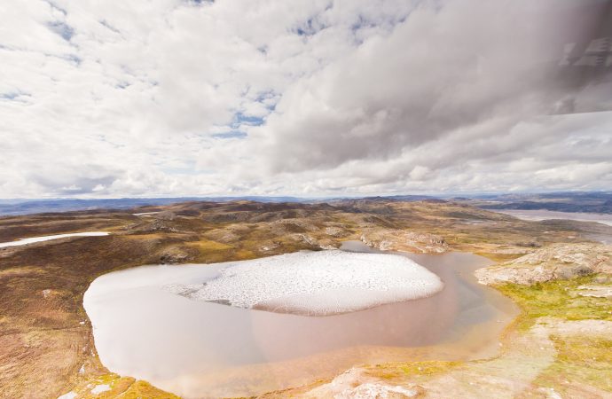 Scientists stunned to discover plants beneath mile-deep Greenland ice