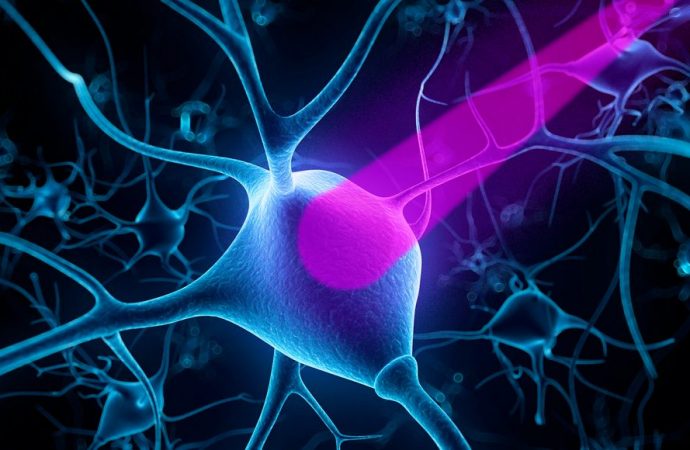 Controlling nerve cells with light opened new ways to study the brain