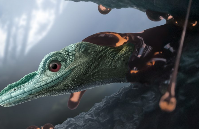 That’s not a dinosaur. Tiny fossil discovered in 2020 actually belonged to a lizard.