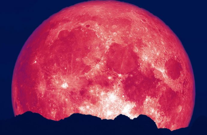 The Strawberry Moon: How, when to watch it