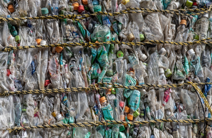 ‘Generator’ Turns Plastic Trash Into Edible Protein