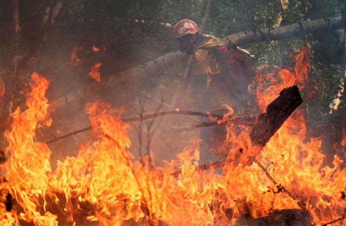 Siberian wildfires now bigger than all other fires in world combined