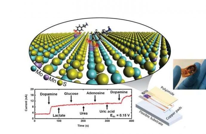 Highly sensitive dopamine detector uses 2-D materials