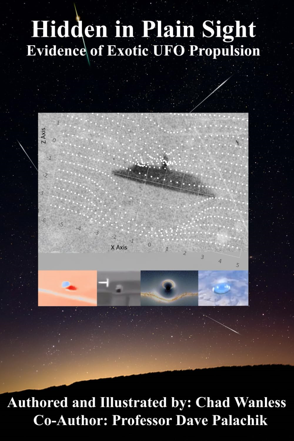 Review of Hidden in Plain Sight